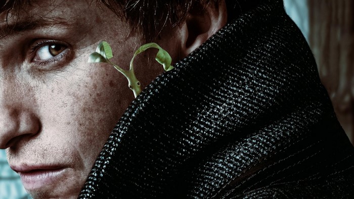 Eddie Redmayne as Newt Scamander in Fantastic Beasts