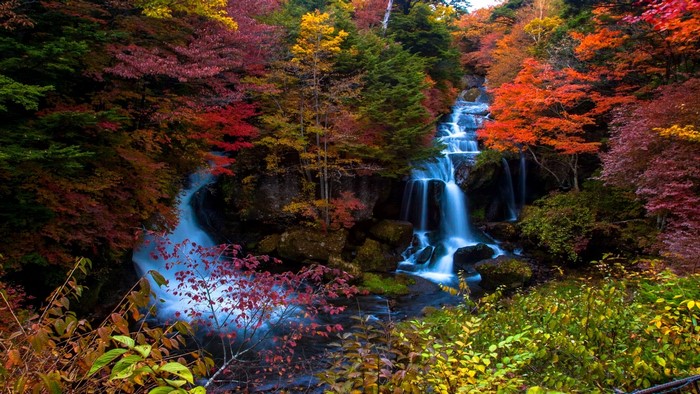 Waterfall surrounded by autumn foliage