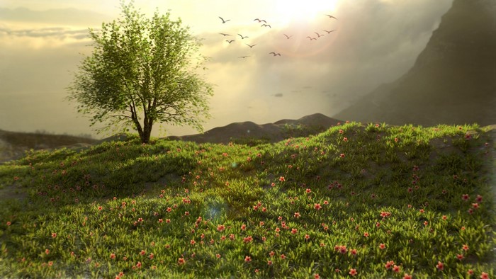 A lone tree on a grassy hill with flowers