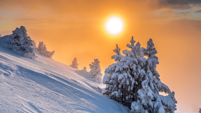 Winter sunrise over snowy mountain with trees