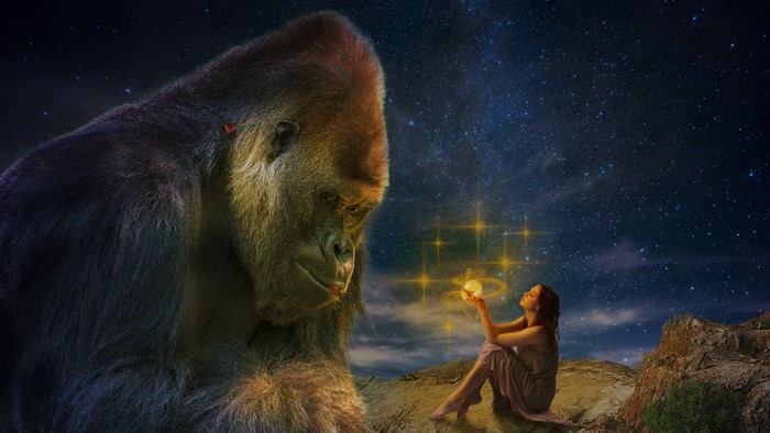 Girl and Gorilla Under Starry Sky