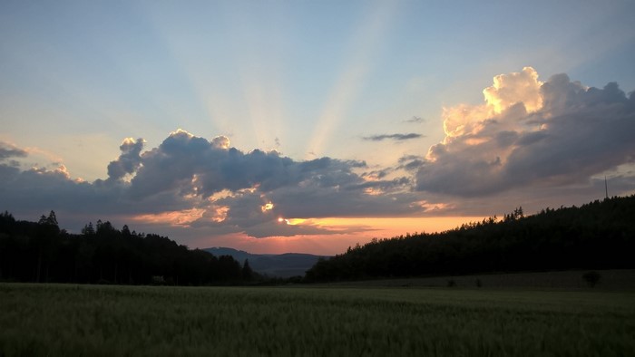 Sunset with Crepuscular Rays over a Field