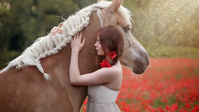 Girl hugging a horse in a poppy field
