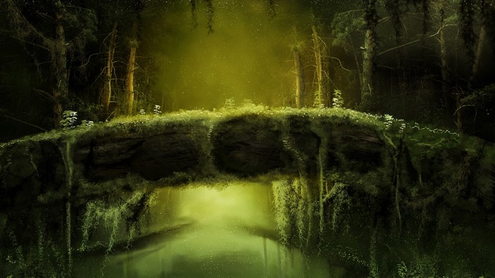Mysterious forest with a mossy bridge over a stream