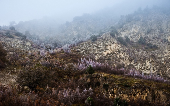Misty Mountain Slope with Rocky Outcrops and Sparse Vegetation