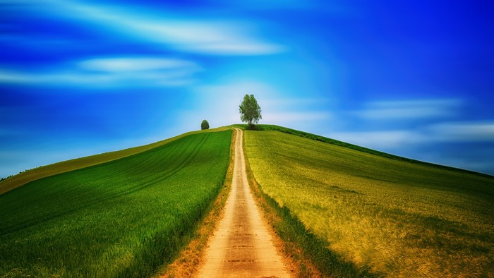 4K Nature Landscape with Dirt Road and Trees