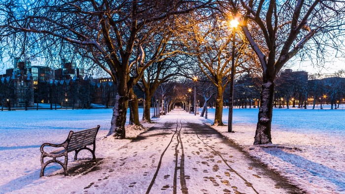 Snowy park path with trees and buildings in Edinburgh