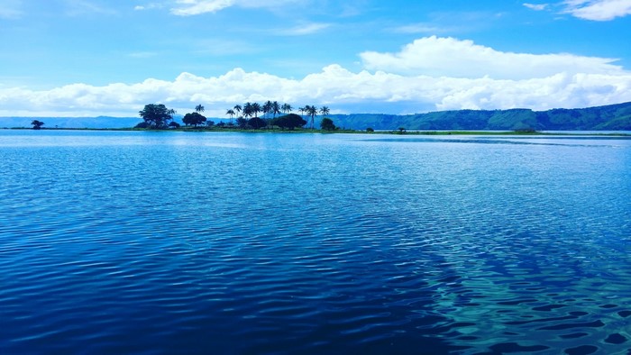 Island with palm trees on a lake