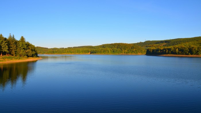 Lake surrounded by green forest under a clear blue sky