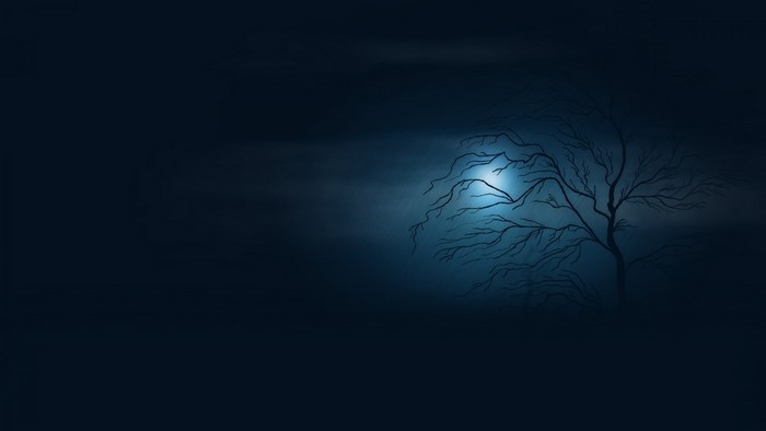 Bare tree under moonlight