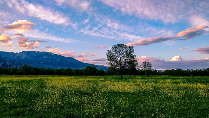 4K Nature Landscape with Mountains and Field