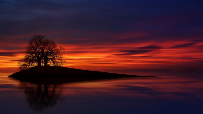 4K Sunset over water with tree silhouette