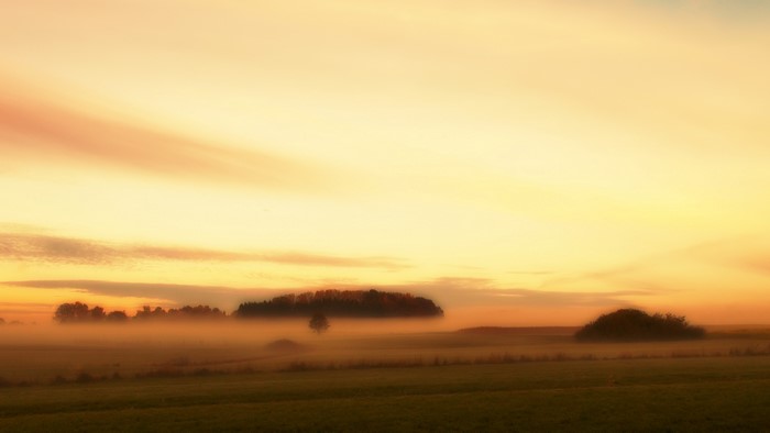 4K Morning Fog Over Fields