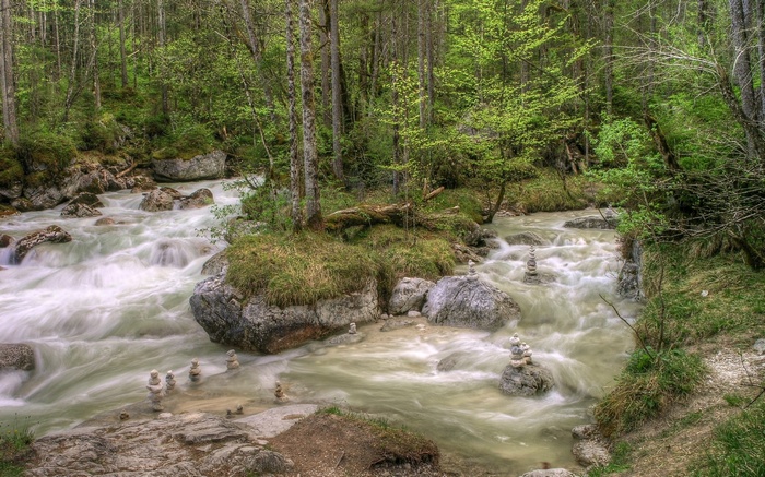 River flowing through a forest with stacked stones