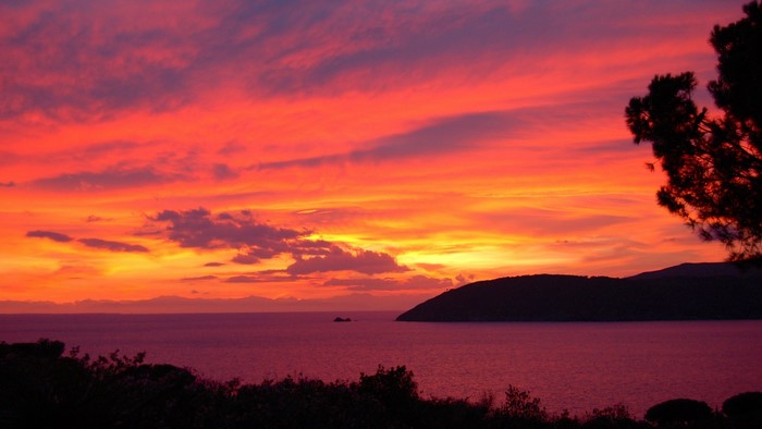 Sunset over the ocean with silhouetted trees and hills