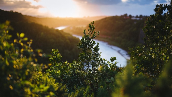 River valley at sunset with trees in foreground
