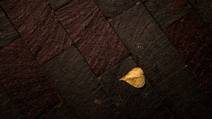 Leaf on dark and red tiles