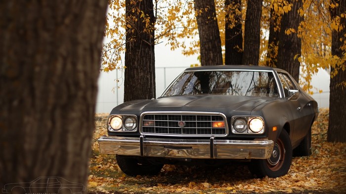 Vintage Dodge car in autumn setting