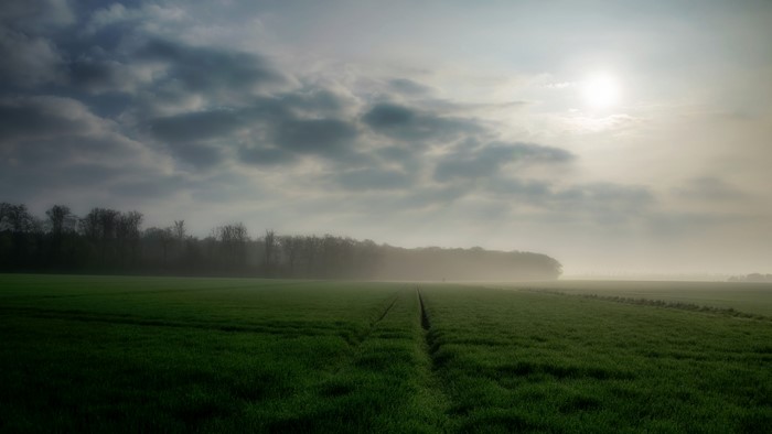 4K Morning Field with Trees and Sun
