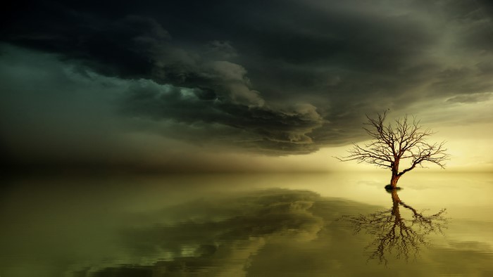 4K Reflection of a lone tree under stormy skies