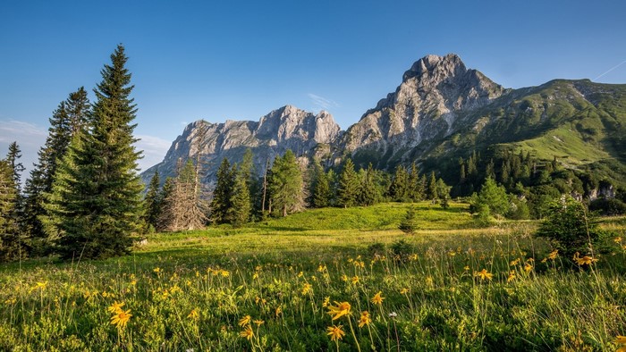 Austrian Alps landscape with mountains and flowers