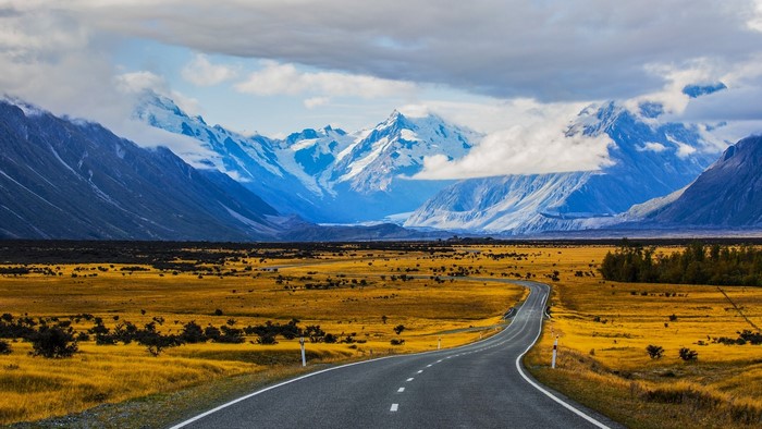 Road through golden field to snow-capped mountains