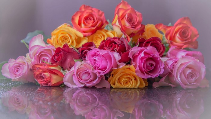 Bouquet of Roses
