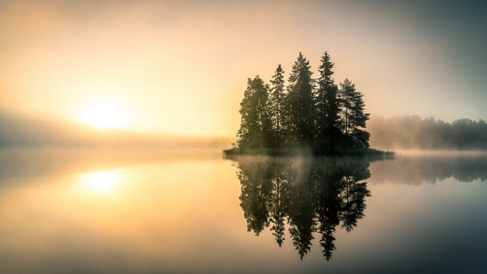 Foggy summer morning over a lake with island