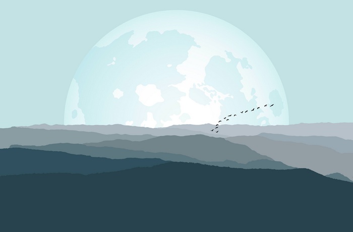 Minimalist landscape with moon and birds 4K