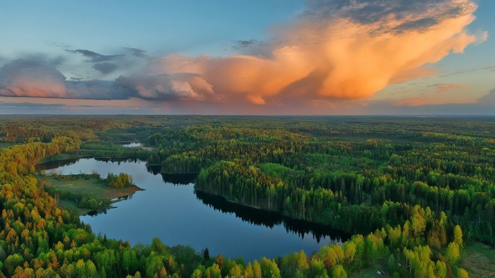 Aerial view of Gostilitskoye Lake and forest