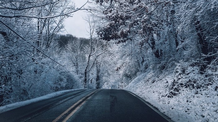 Road through a snow-covered forest
