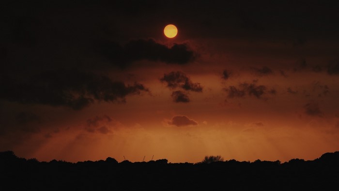 Sunset with clouds over silhouetted trees