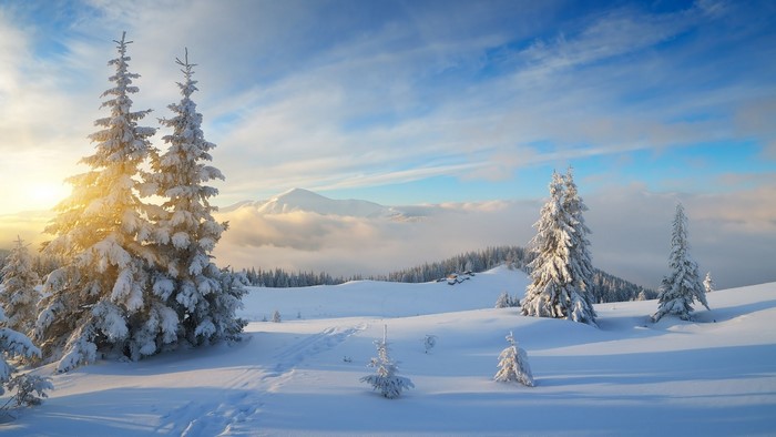 Snowy Carpathian Mountains in Ukraine