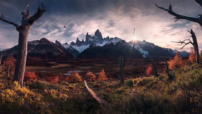 Mount Fitz Roy Landscape with Dead Trees and Birds