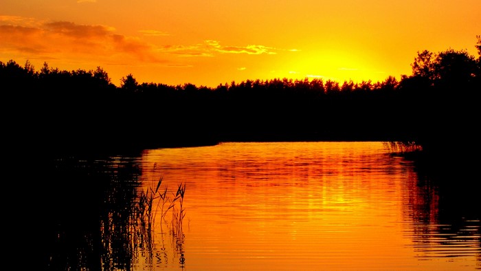 Sunset over a lake with forest silhouette