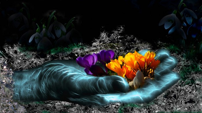 Hand holding spring flowers