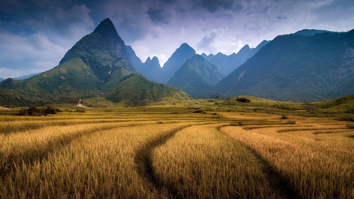 Rice Terraces and Mountains in Vietnam