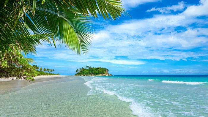 Tropical beach with palm trees and island