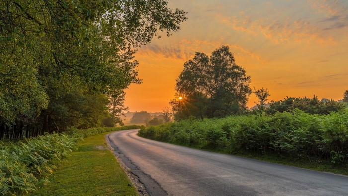 Road through Rockford Common, England at sunrise