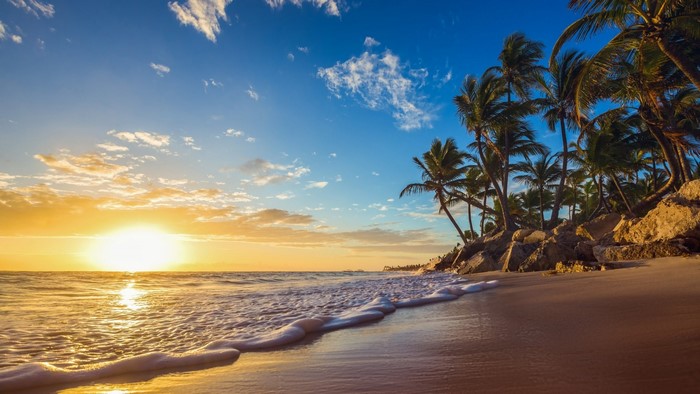 Sunrise over a tropical beach with palm trees in Dominican Republic