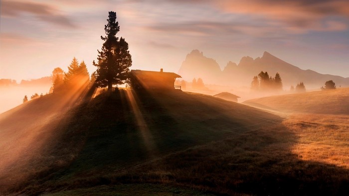 Misty mountain sunrise with cabin and tree