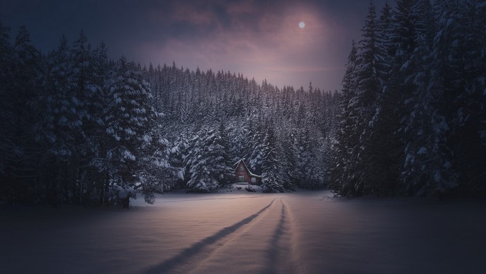Winter cabin in snowy forest under moonlight