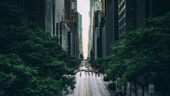 New York City street with trees and pedestrians