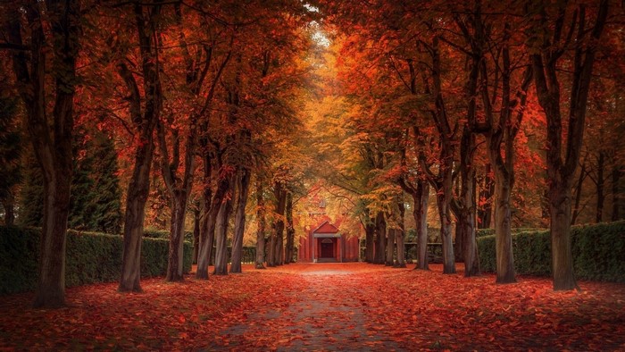 Autumn path leading to a red building
