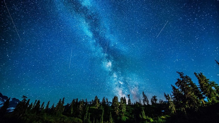 Starry night sky over a forest