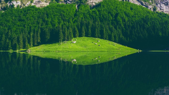 Green island in a lake with forest and mountain reflection