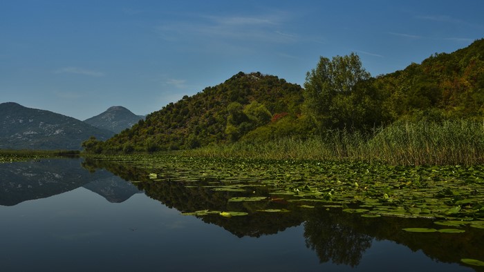 4K Lake with Mountains and Lily Pads