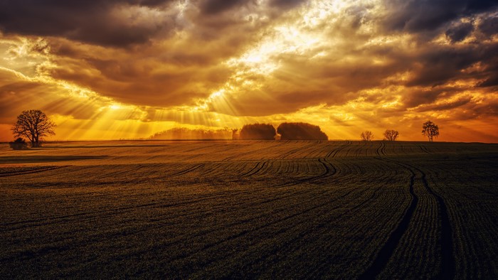 4K Sunset Over Agricultural Field