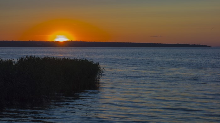 4K Sunset over the Water with Reeds