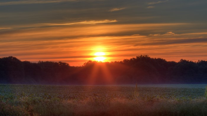 4K Sunrise Over a Field and Forest